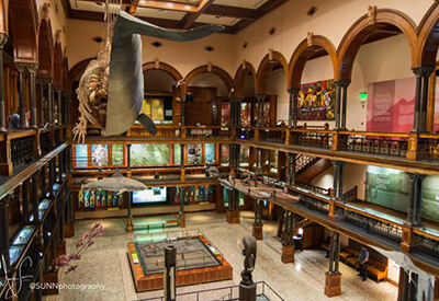 Bishop Museum Oahu Coupons