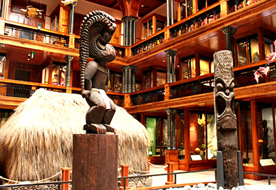 Bishop Museum Oahu Coupons