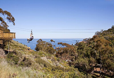 Catalina Island Zipline Tour Transportation Coupons