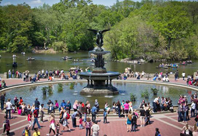 Central Park Walking Tours Coupons