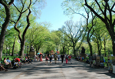 Central Park Walking Tours Coupons
