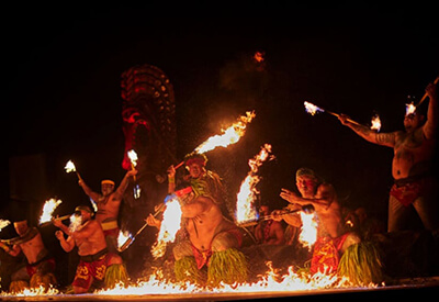 Chief Luau Polynesian Show Coupons