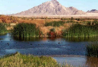 Clark County Wetlands Park Coupons