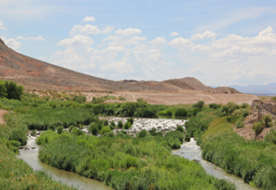 Clark County Wetlands Park Coupons