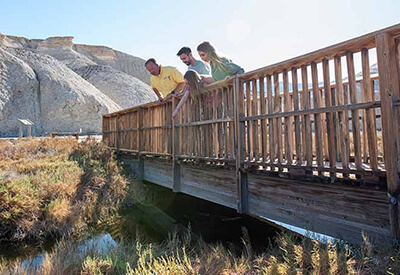 Death Valley Pink Jeep Tour Coupons