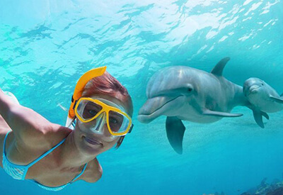 Dolphin Watch and Snorkel Combo Coupons