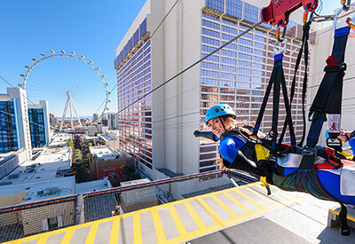 Fly LINQ Zipline Coupons