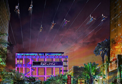 Fly LINQ Zipline Coupons