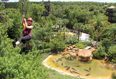 Gatorland Screamin’ Gator Zipline Coupons