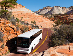Grand Canyon South Rim Bus Tour Coupons