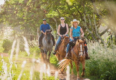 Gunstock Ranch Horseback Rides Coupons