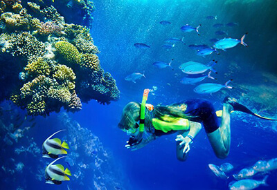 Half Day Snorkel Tour Lanai Maui Coupons