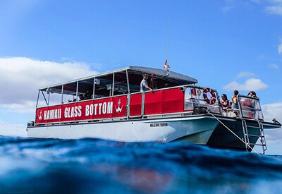 Hawaii Glass Bottom Afternoon Cruise Coupons