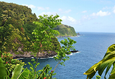 Heavenly Hana Adventure Tour Coupons