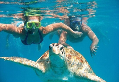 Hidden Gems Oahu Tour North Shore Snorkel Experience Coupons