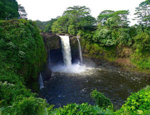 Hilo Tropical Waterfalls Hawaii Coupons