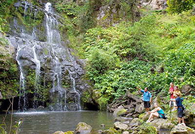 Hilo Tropical Waterfalls Hawaii Coupons