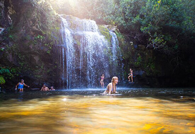 Hilo Tropical Waterfalls Hawaii Coupons