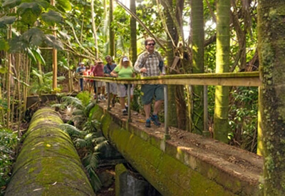 Hilo Tropical Waterfalls Hawaii Coupons