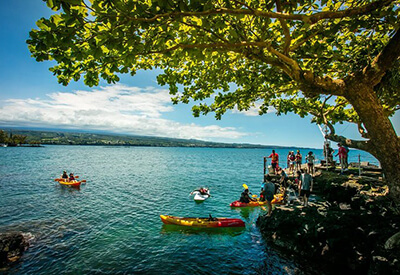 Historic Hilo Bay Waterfalls Kayak Tour Coupons