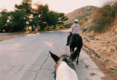 Hollywood Sign Horseback Transportation Coupons