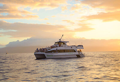 Island Rhythms Sunset Cocktail Cruise Maui Coupons