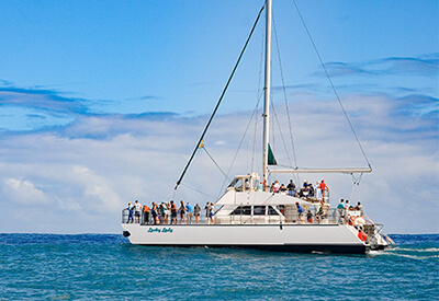 Kauai Whale Watch Cocktail Cruise Coupons