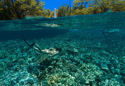 Kealakekua Bay Snorkel Coastal Adventure Coupons