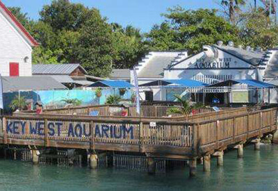 Key West Aquarium Coupons