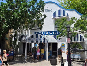 Key West Aquarium Harry S Truman Little White House Pkg Coupons