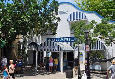 Key West Aquarium & Little White House Package Coupons