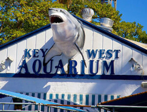 Key West Aquarium Shipwreck Museum Package Coupons