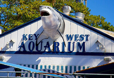 Key West Aquarium Shipwreck Museum Package Coupons