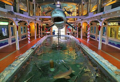 Key West Aquarium Shipwreck Museum Package Coupons