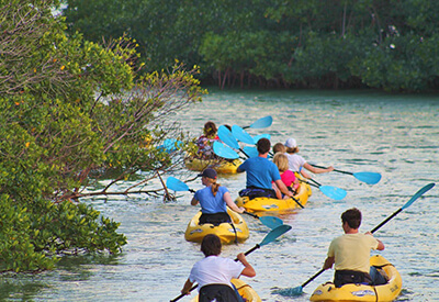 Key West Backcountry Paddleboard Tours Coupons