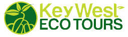 Key West Backcountry Paddleboard Tours Coupons