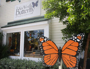 Key West Butterfly Conservatory Coupons