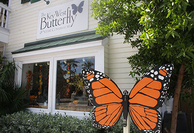 Key West Butterfly Conservatory Coupons