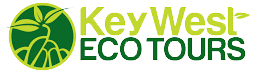 Key West Eco Tours aboard the Java Cat Coupons