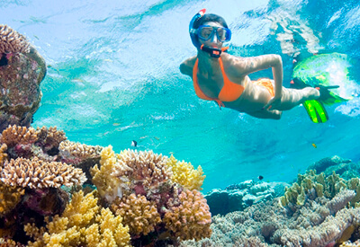 Key West Snorkel Safari Tour Coupons