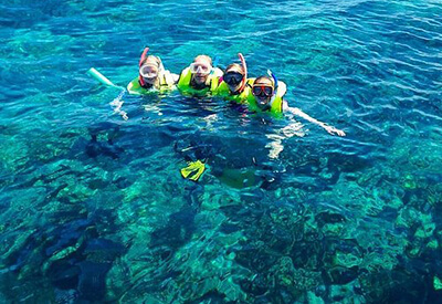 Key West Snorkel Safari Tour Coupons