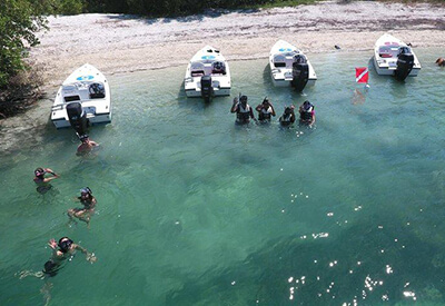 Key West Snorkel Safari Tour Coupons