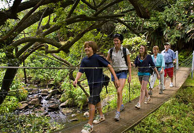 Kohala Waterfalls Adventure Coupons