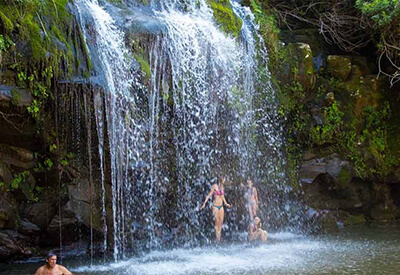 Kohala Waterfalls Adventure Coupons