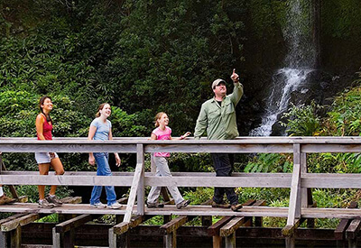 Kohala Waterfalls Adventure Coupons