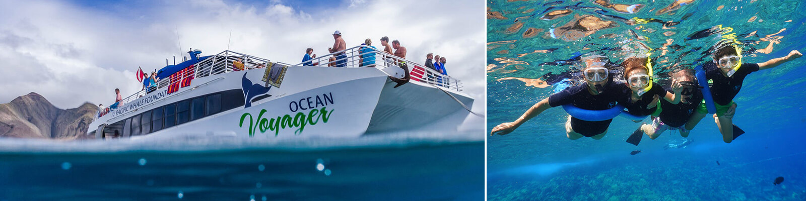 Lanai Wild Dolphin Snorkel Cruise Coupons