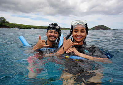 Lanai Wild Dolphin Snorkel Cruise Coupons