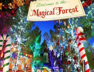 Magical Forest Las Vegas Coupons