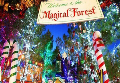 Magical Forest Las Vegas Coupons