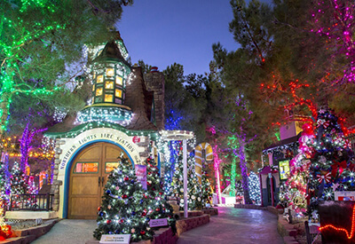 Magical Forest Las Vegas Coupons